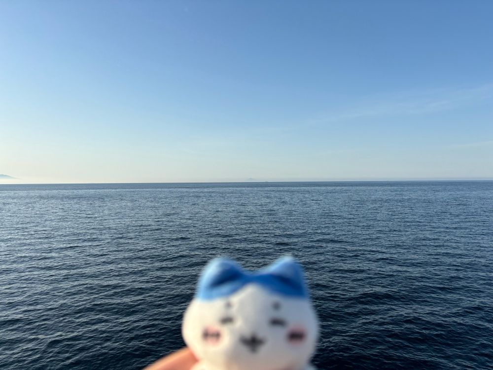 水平線とほほえむハチワレぬい