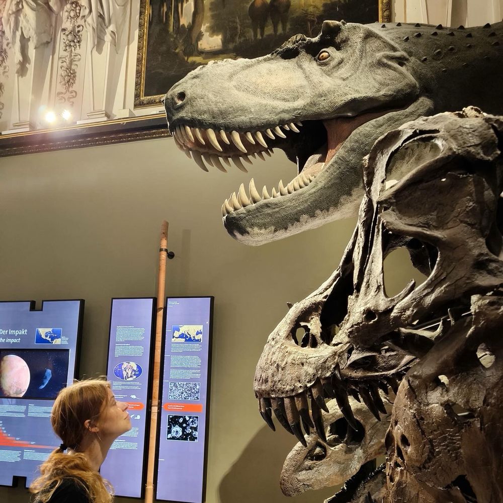 Verschillende skeletten van hoofden van dinosaurussen, ik kijk daarna en sta links op de foto, zwart shirt en haar in een staart. Achter mij een onleesbaar blauw informatiebord.