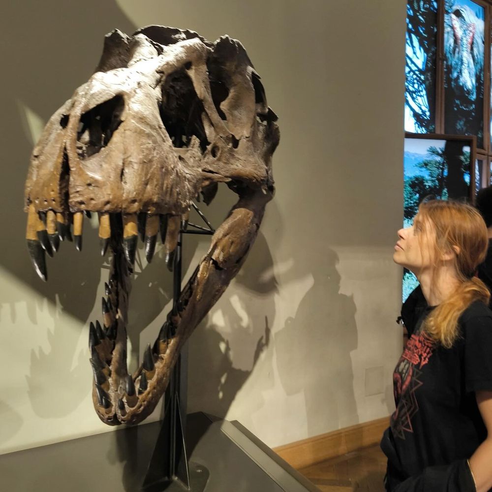 Links op de foto de reconstructie van een skelet van het hoofd van een dinosaurus. De muur daarachter is beige. Mijn hoofd is rechts op de foto te zien, met een zwart shirt. Ik kijk naar het skelet.