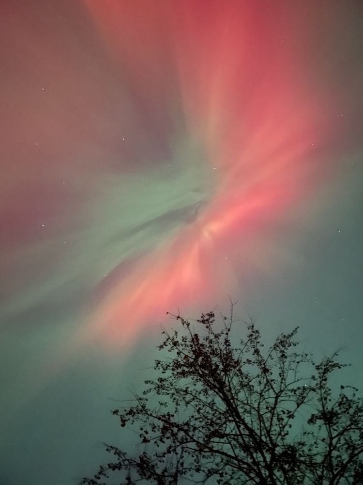 Extremely vibrant photo of the aurora. A bright red streak swirls with a pale green.