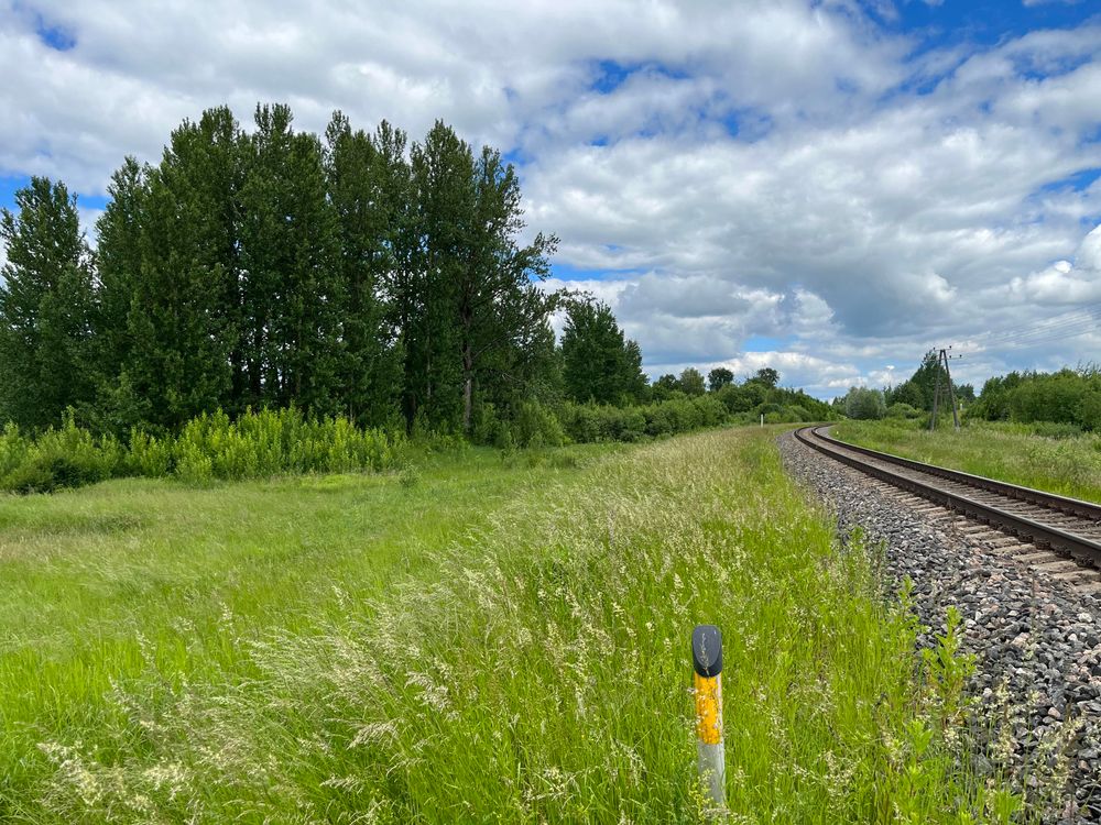 Track next to a green field 