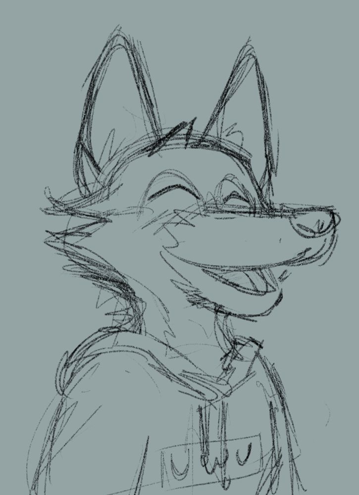 sketchy fox face