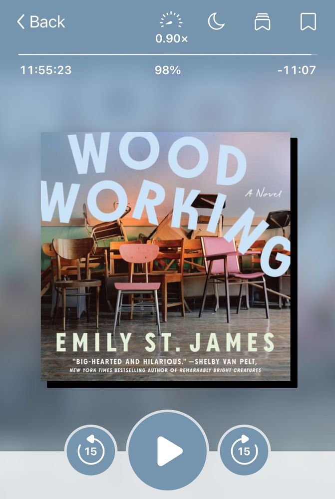 Audiobook player for Woodworking by Emily St. James