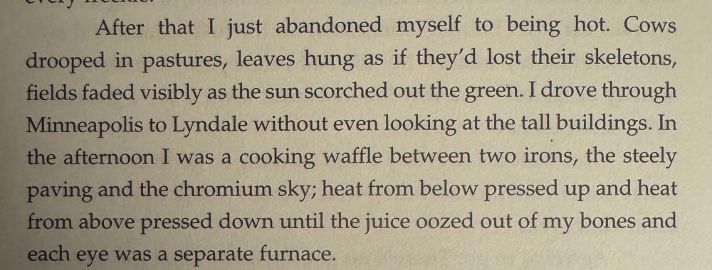 After that I just abandoned myself to being hot. Cows drooped in pastures, leaves hung as if they'd lost their skeletons, fields faded visibly as the sun scorched out the green. I drove through Minneapolis to Lyndale without even looking at the tall buildings. In the afternoon I was a cooking waffle between two irons, the steely paving and the chromium sky; heat from below pressed up and heat from above pressed down until the juice oozed out of my bones and each eye was a separate furnace.