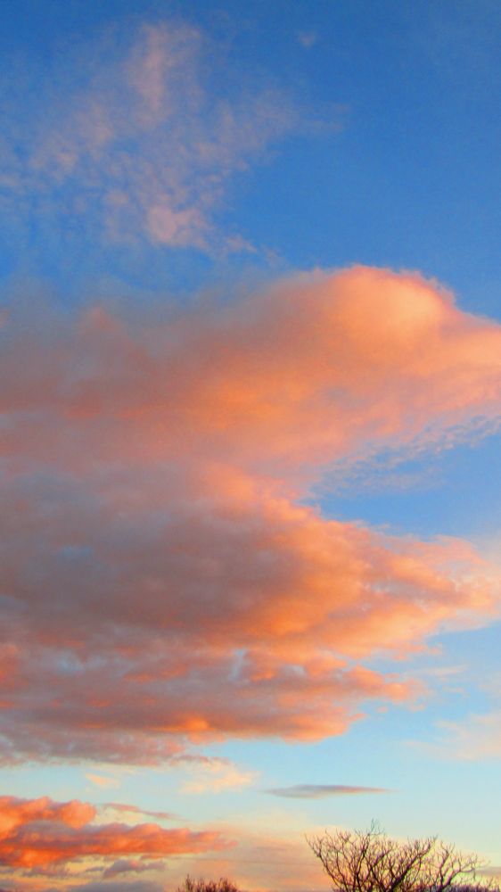 Cotton candy clouds kinda shaped like a giant letter "S" drifting into the blue hour sky