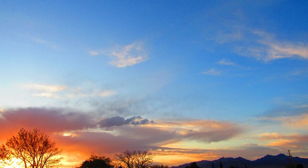 ...and one more as the sun finally arrives on the scene. Thanks for looking, and have a fantabulous Wednesday! 