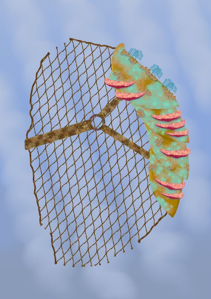 Comment image