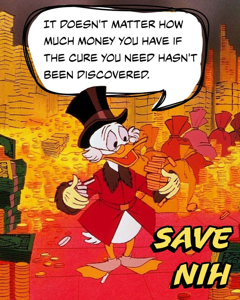 Scrooge McDuck with a bunch of gold saying "it doesn't matter how much money you have if the cure you need hasn't been discovered" and words that read Save NIH