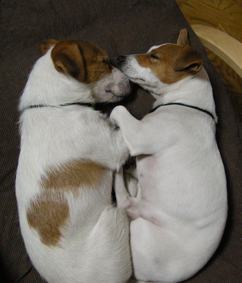 麦ちゃん(右)母
のんちゃん(左)三男