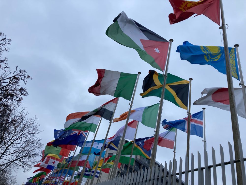 A collection of national flags 