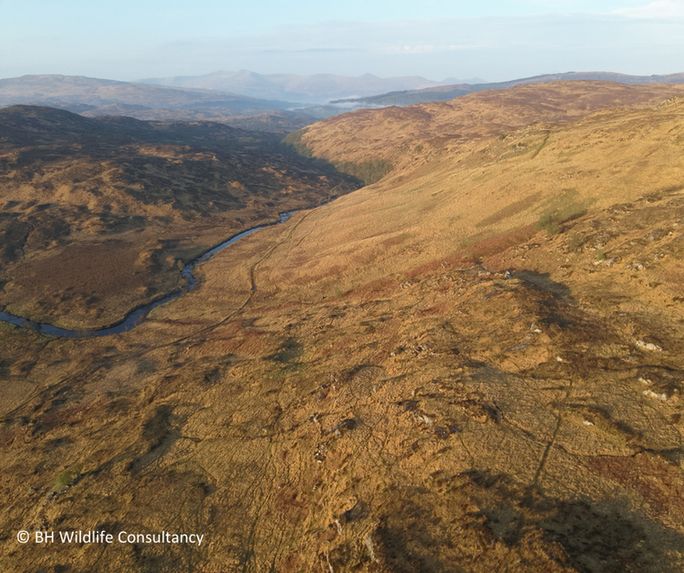 An aerial view of Rahoy Hills, showing moorland sloping down towards a narrow river.