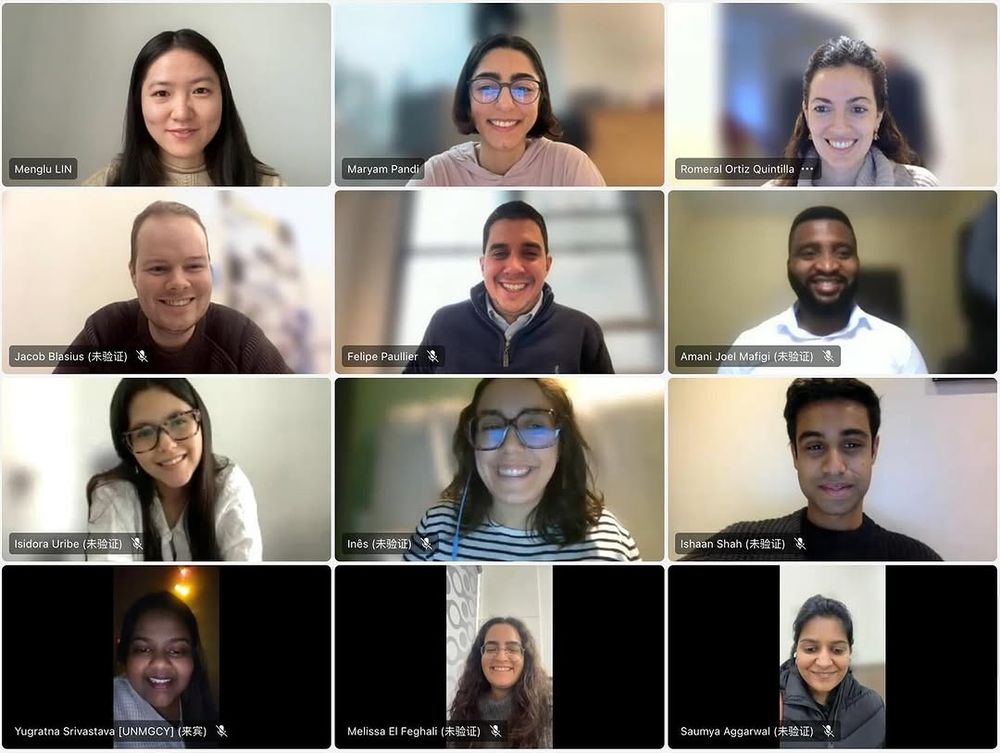 The members of the UN Youth Office Reference Group om a Team call.