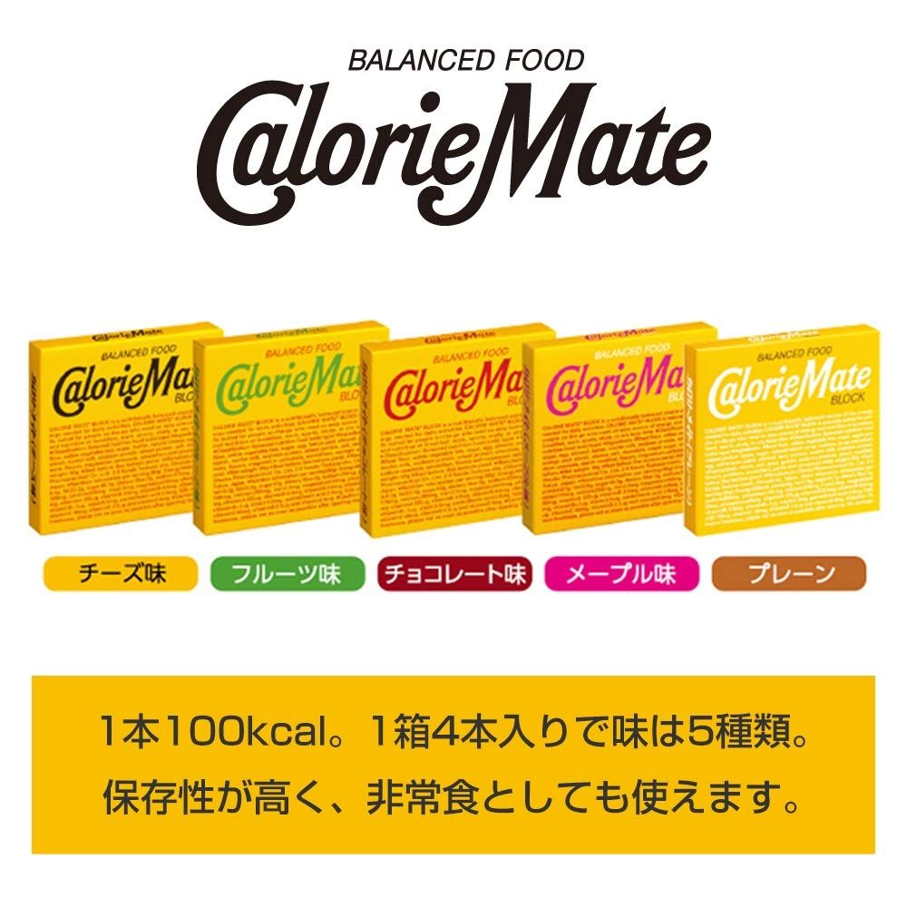 caloriemate, a Japanese meal replacement square (?)