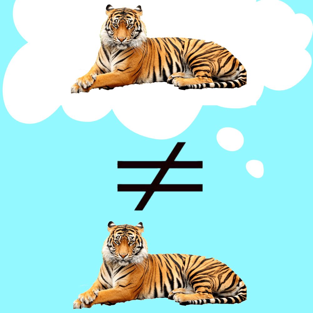 A graphic showing a picture of a tiger inside of a thought bubble, then a not-equal sign, and then the tiger without the thought bubble.  It illustrates that “The thought of a tiger is not a tiger.”