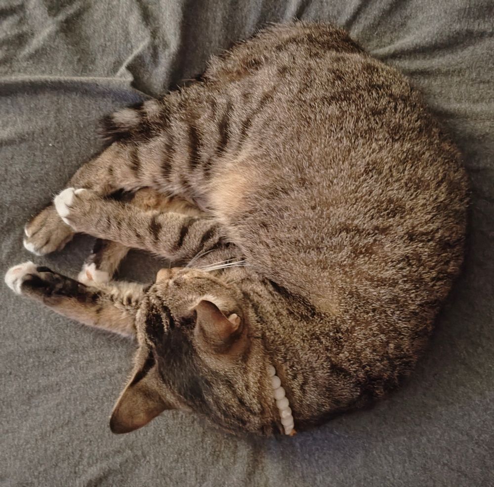 Lokita 