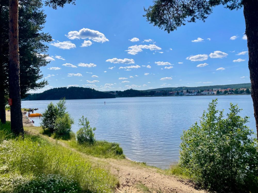 A sandy beach by a river, surrounded by trees, and a sunny blue sky 