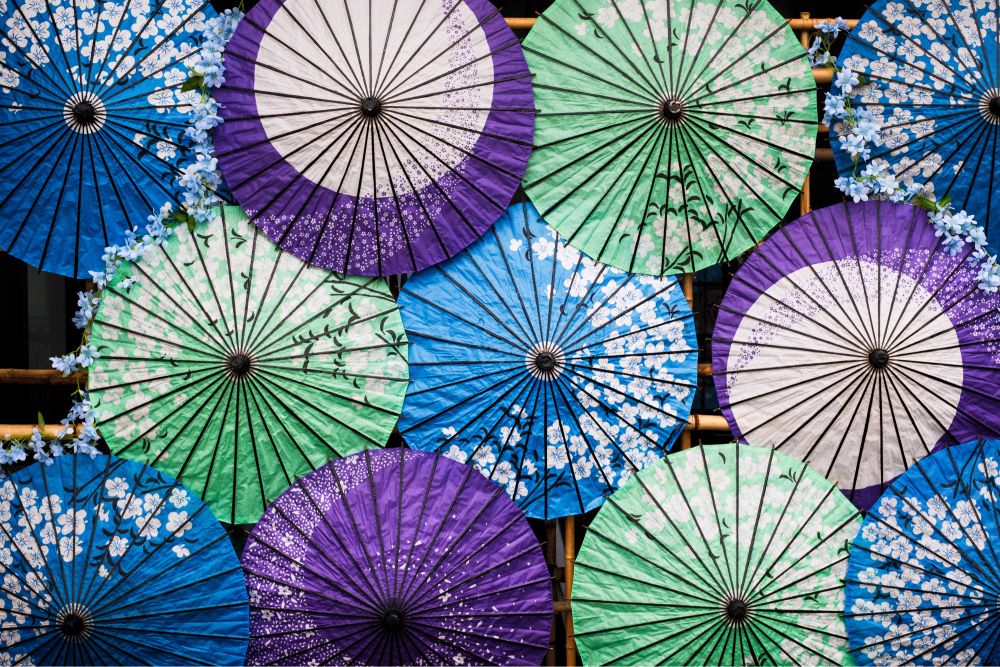 fujifilm xh2 xf30mm 傘 和傘 umbrella