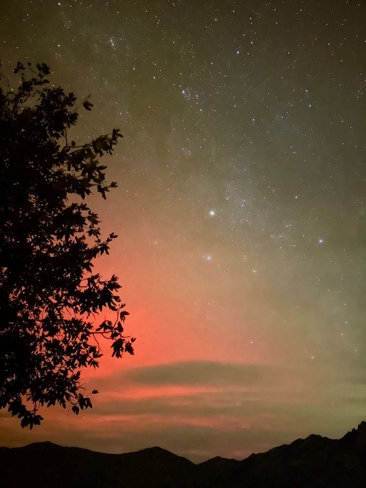 Red sky with stars as a backdrop to silhouettes of a tree and mountain range 