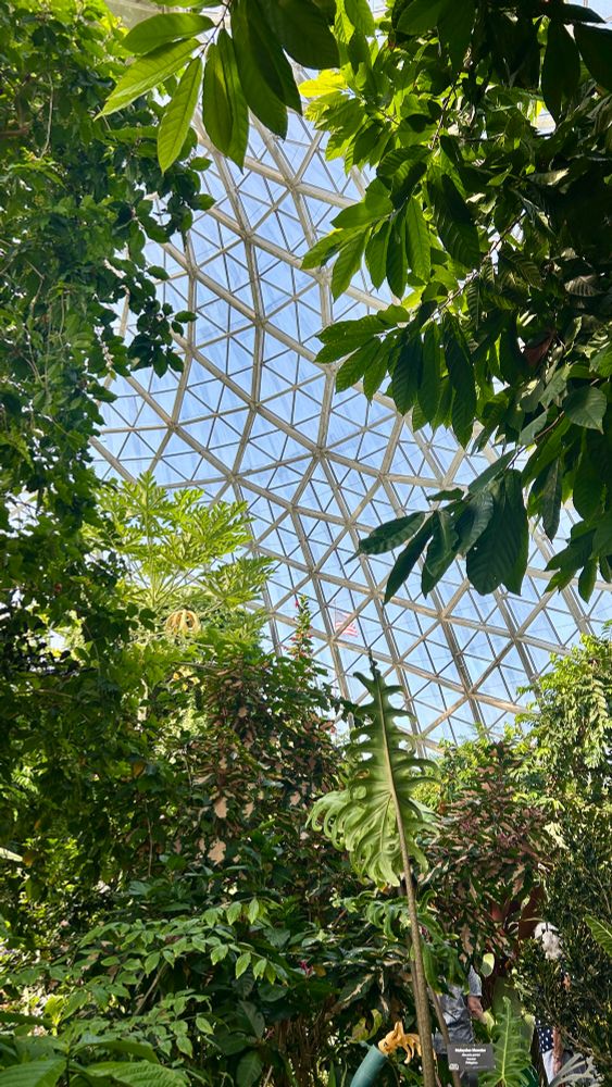 A giant glass dome in the background made up of many triangle-shaped pieces of glass, with many green plants framing the background