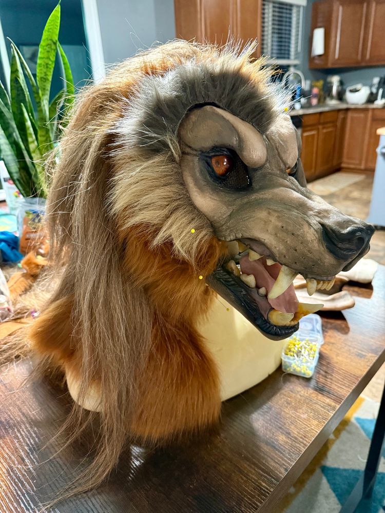 Werewolf mask with fabric pinned to one side of the head