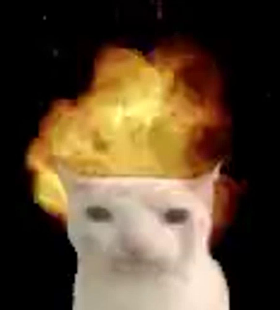 a white cat with a fireball coming out of its head on a black background .