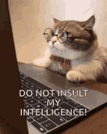 Comment image