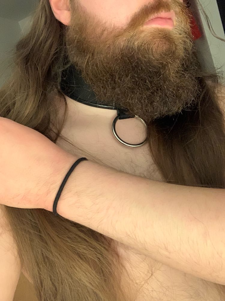 Photo of me, bearded man with long hair, wearing a black collar with a large metal ring attached.