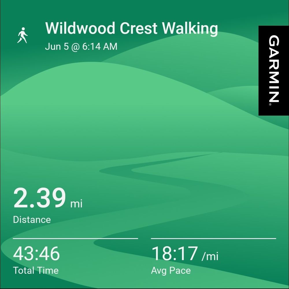 Garmin walk activity 