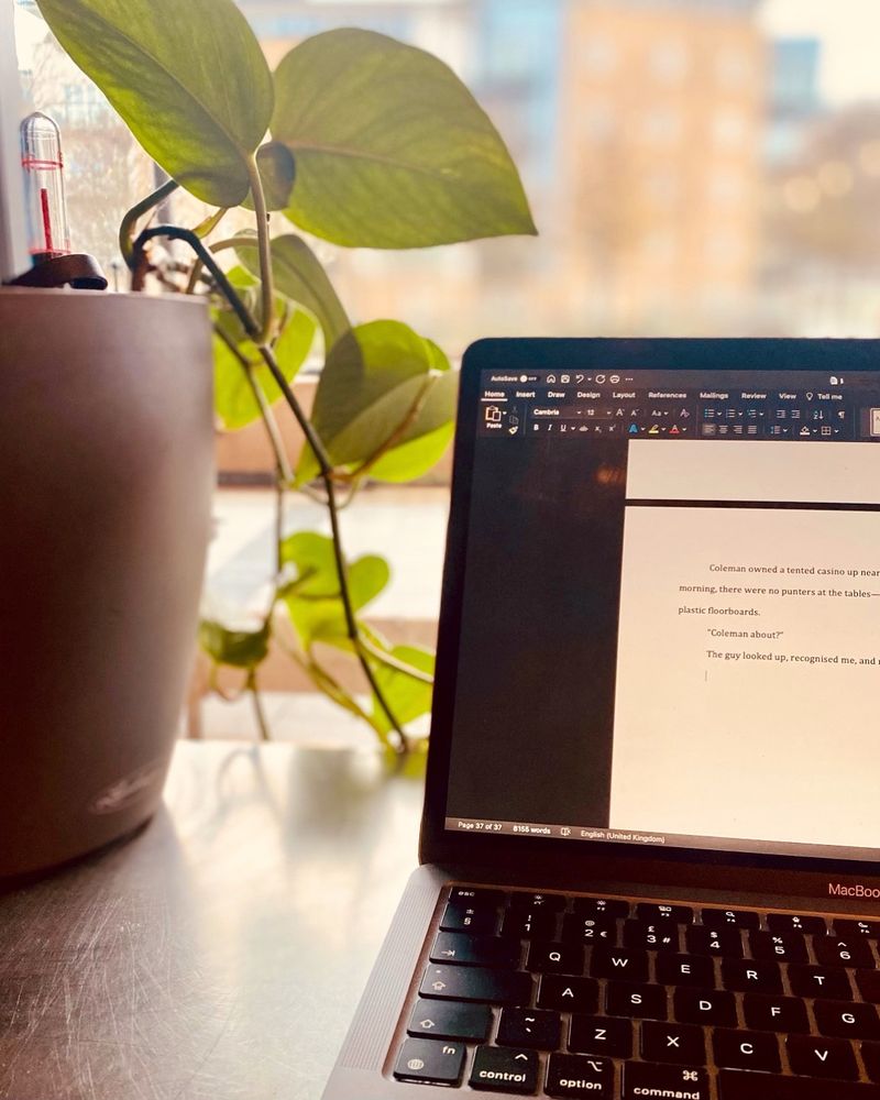 A laptop on a table next to a house plant 