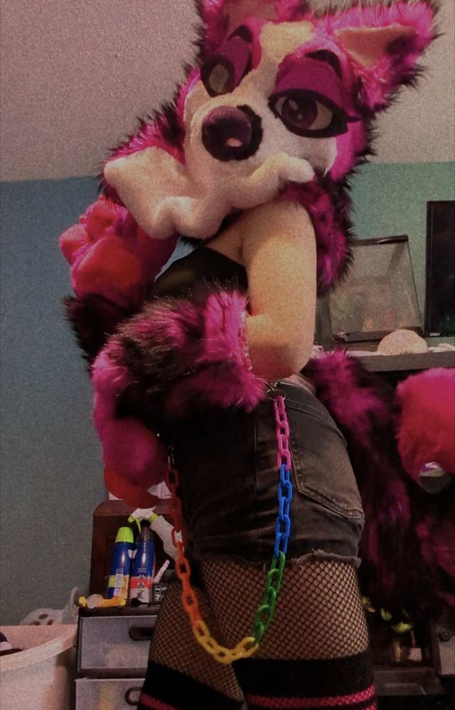 Right side view of pink border Collie partial