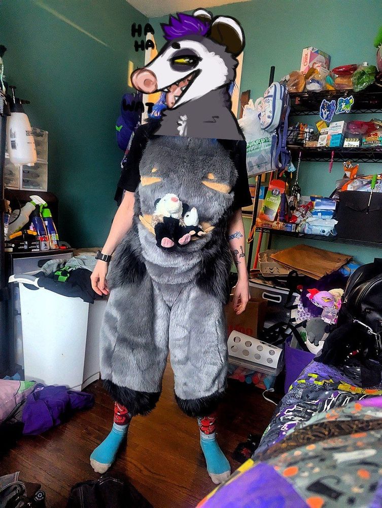 A person standing in a room in an unfinished grey opossum bodysuit for a fursuit.
It's currently missing leg padding and arms and is as a result unfinished.
It has a pouch lined with peach minky which holds 2 opossum plushies.
It also has top surgery scars and nipples in the same peach minky
