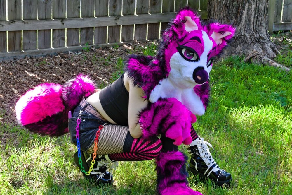 Also outdoor photo of the same pup, but this time in place of standing, she's seen crochet over ready to pounce!