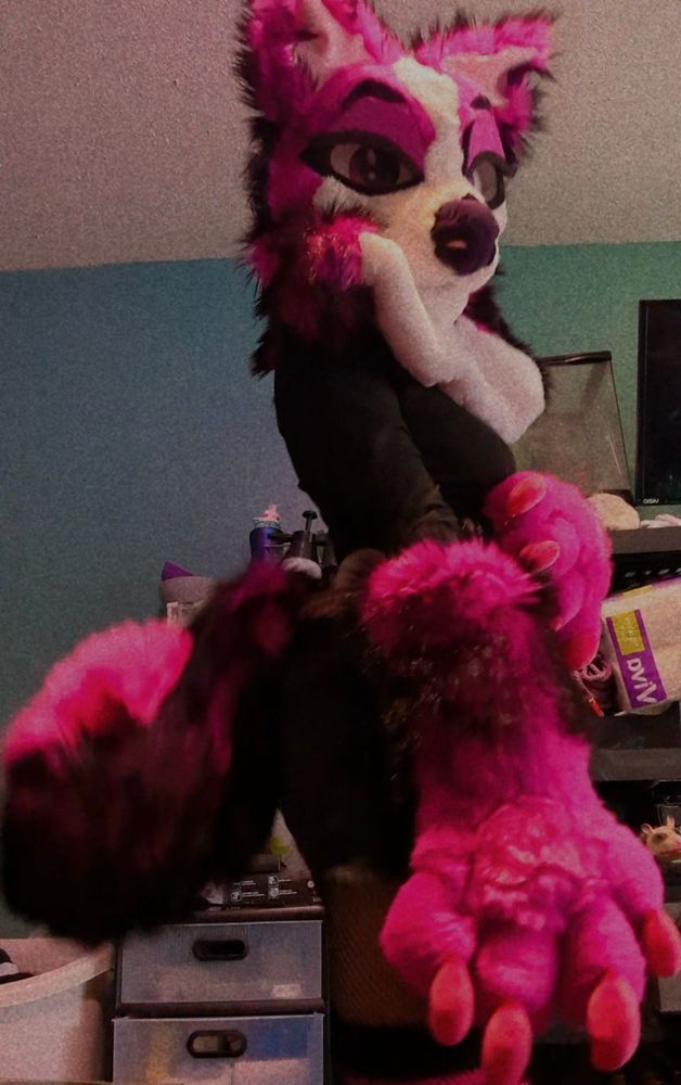 Left side view of a pink border Collie fursuit partial