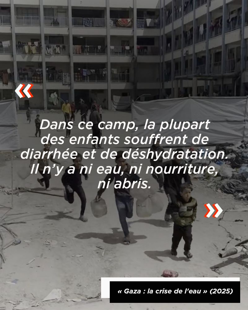 Citation d'une réfugiée d'un camps à Gaza : "Dans ce camp, la plupart des enfants souffrent de diarrhée et de déshydratation. Il n’y a ni eau, ni nourriture, ni abris. Les chiens vivent mieux que nous." 