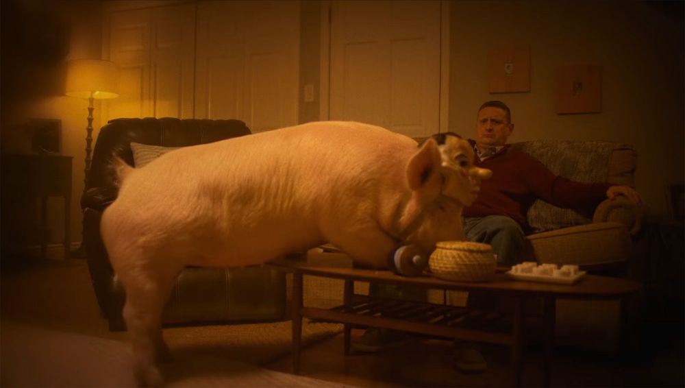 A pig wearing a Richard Nixon mask, with its two front legs and head up on a coffee table. A man (Tim Robinson) sits aghast on his couch (or love seat), watching in horror, but also relieved that he does not have to go to work tomorrow ‘cause he’s gonna get eaten by the monster.


If you could not tell already, this is a screenshot from I Think You Should Leave (ITYSL).