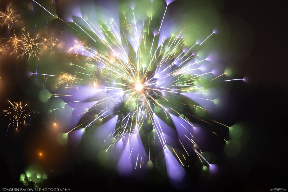 A purple and green explosion of fireworks that is very soft and sharp at the same time.