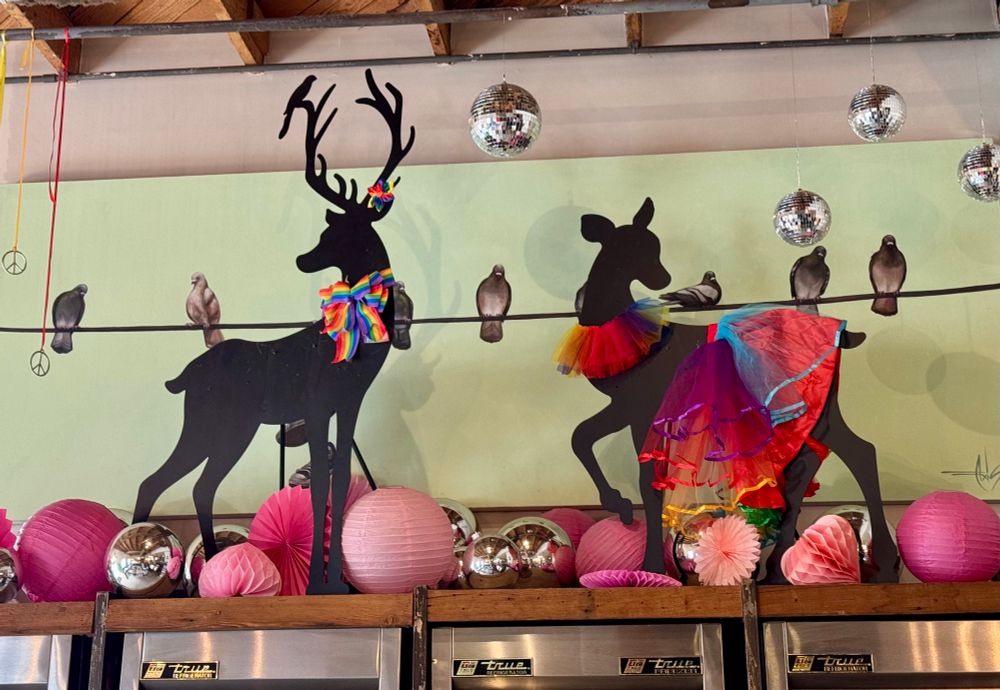 Two deer silhouette cutouts on a pride display atop fridges of a coffee shop, the antlered one wearing a rainbow bow tie, the other a rainbow neckerchief and skirt. Disco balls hang above them.