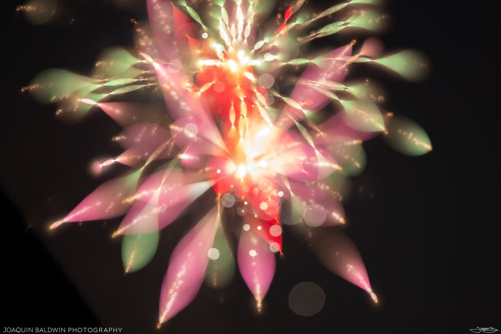 A blobby anemone of pink and green fireworks.