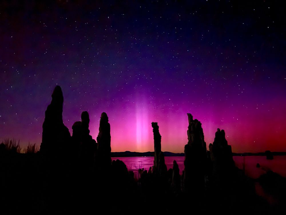 Photo of the Mono Lake tifa with pillars of pink and purple aurora in the background.