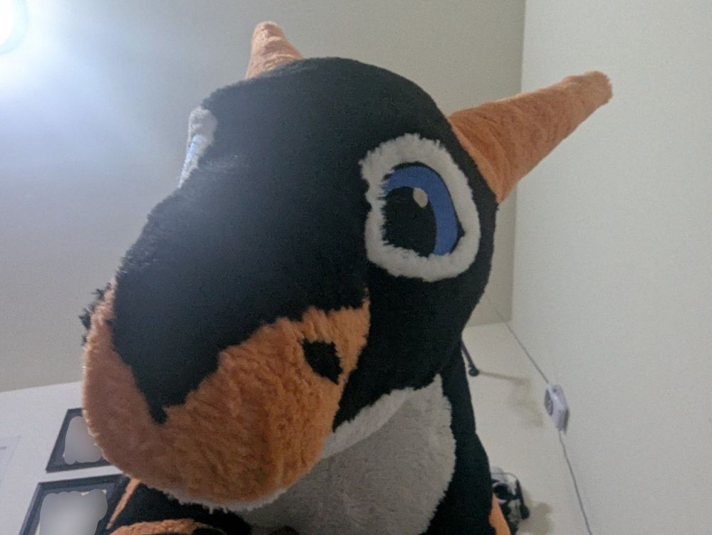 An orange black and white dragon plush resting atop you