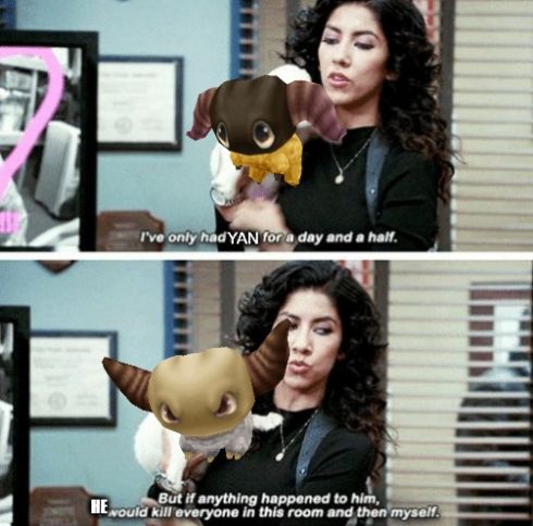 A meme about Yan enemy from Final Fantasy IX killing everyone. The template is from Brooklyn 99 where a stereotypically tough girl is fawning over a puppy