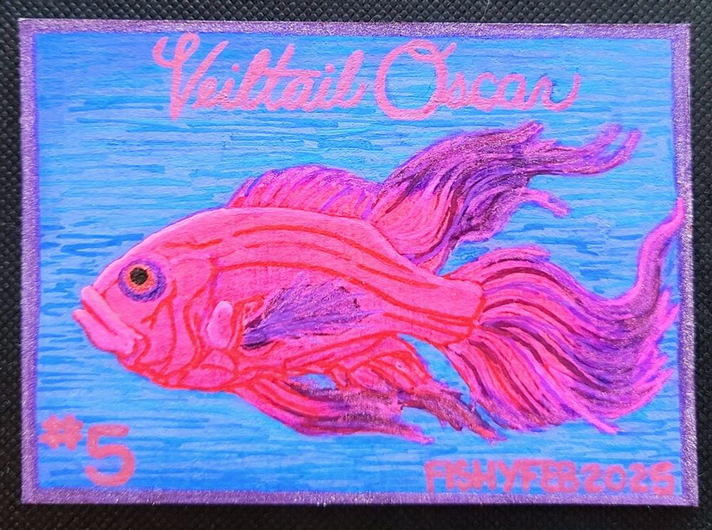 Says "Veiltail Oscar, #5, Fishyfeb2025" 🩷💜

A brightly coloured redish pink Veiltail Oscar fish whose fins glitter at the end, in front of a periwinkle and light blue background, surrpunded by a deep glittering purple border💙💜❤️