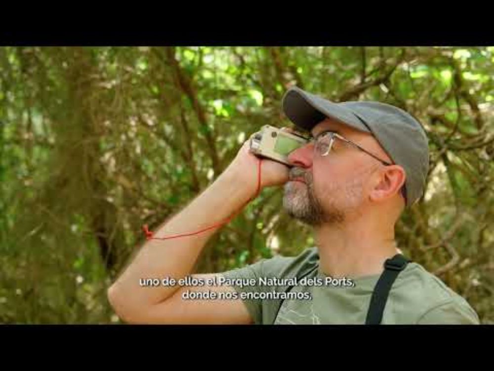 RedBosques Clima | Conocimiento y gestión para la adaptación de los bosques al  CC (subtitulado)