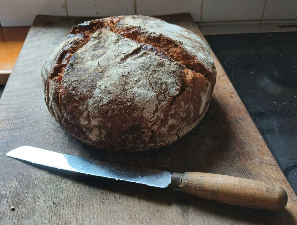 Homebaked caraway malthouse sourdough.