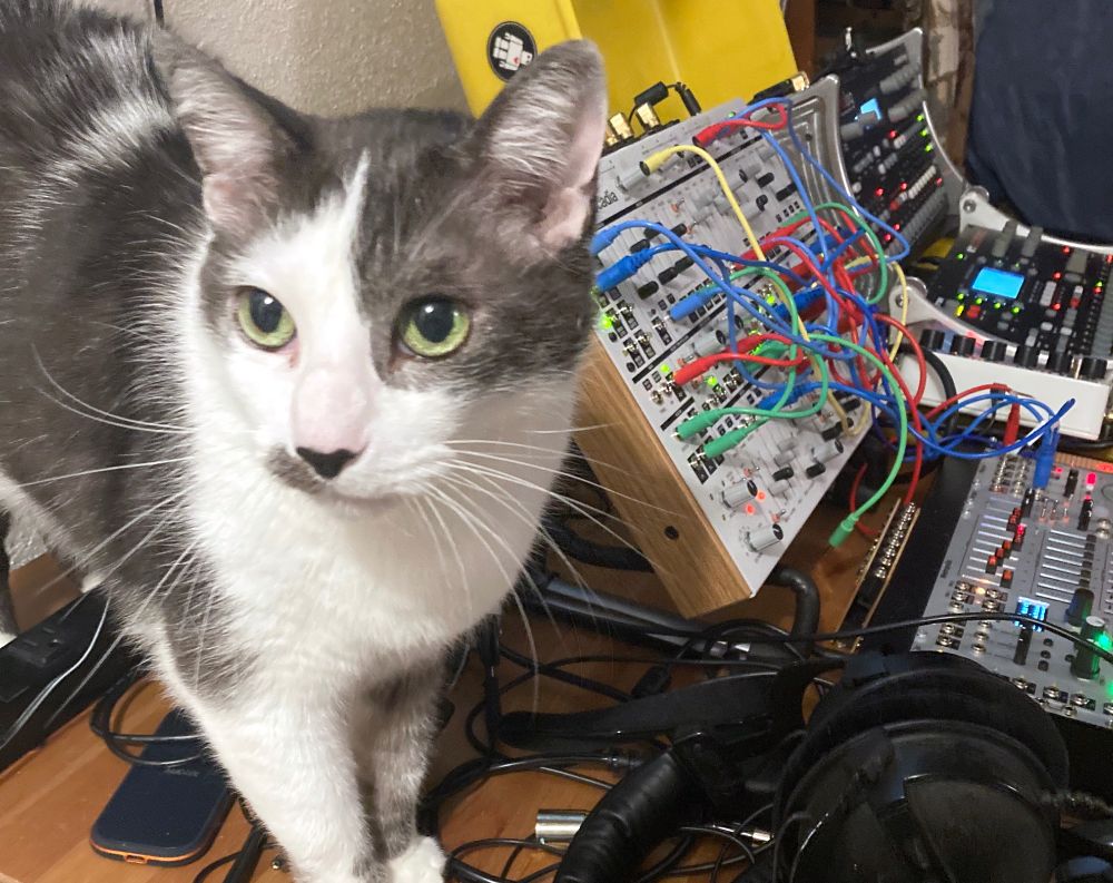 Black and white male cat in the foreground, synthesizers and drum machines in the back ground. 