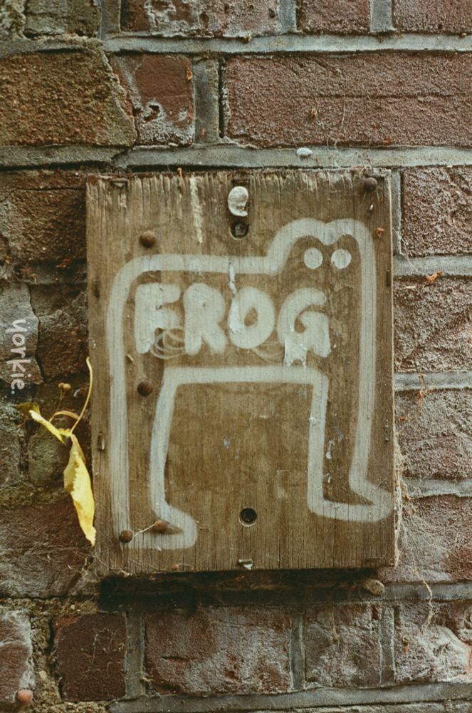 Graffiti on a board that says frog