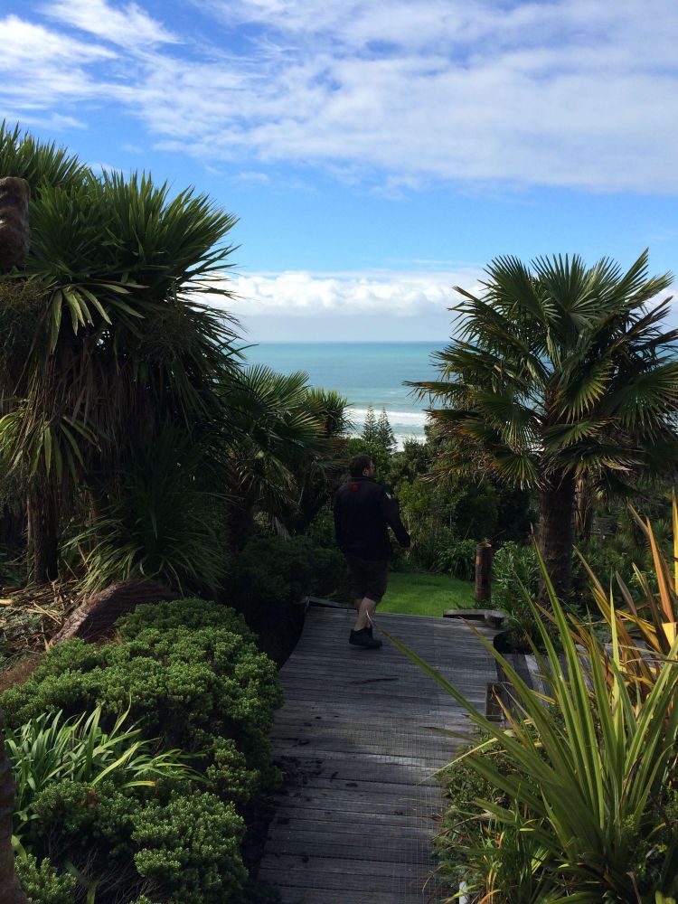 Blue NZ sky with clouds above the blue Pacific ocean. A wooden path leads down through green trees and bush. Someone is walking down the path. 