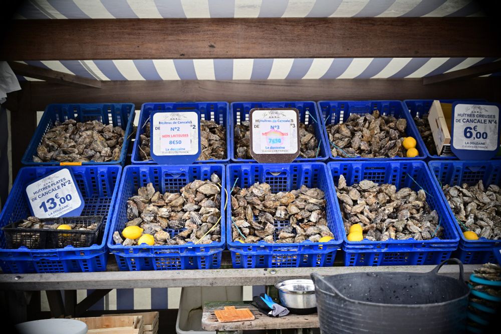Austernbude. Mehrere blaue Körbe mit Austern in verschiedenen Größen und vereinzelten Preisschildern.