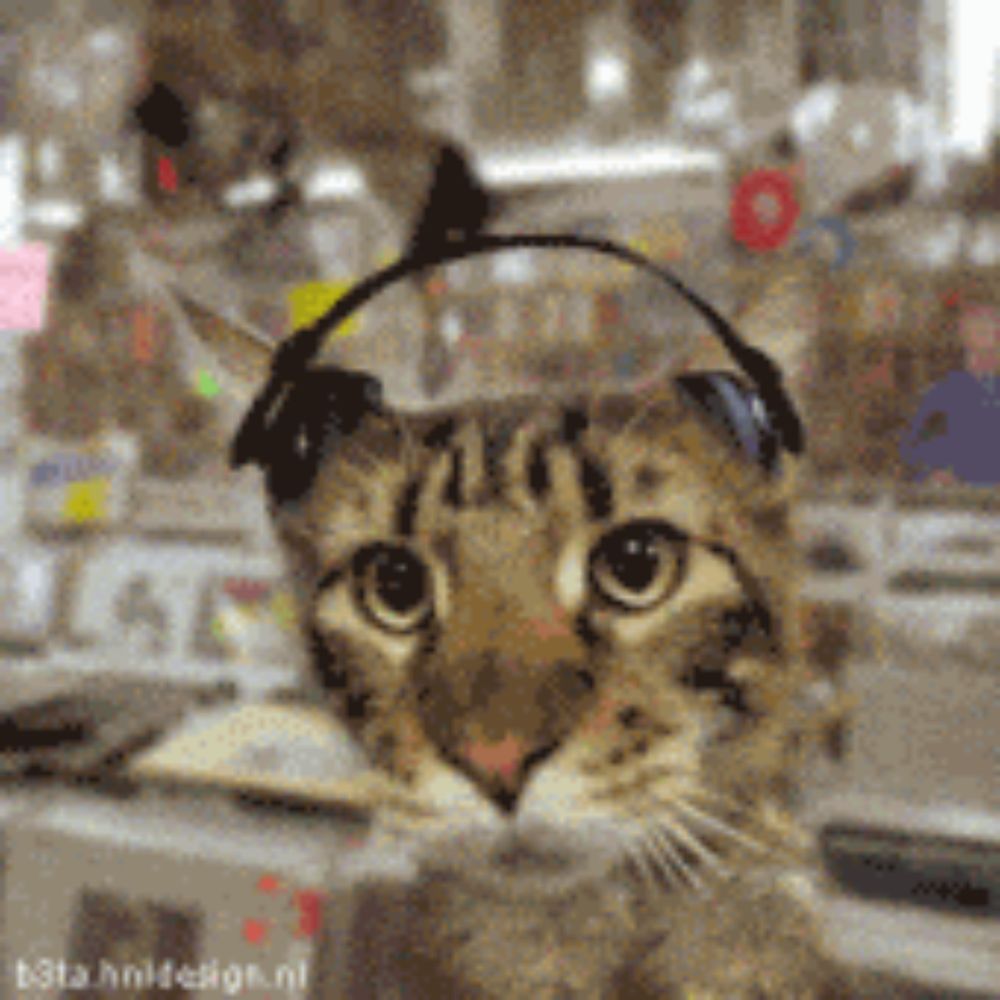 a cat wearing a pair of headphones on its head