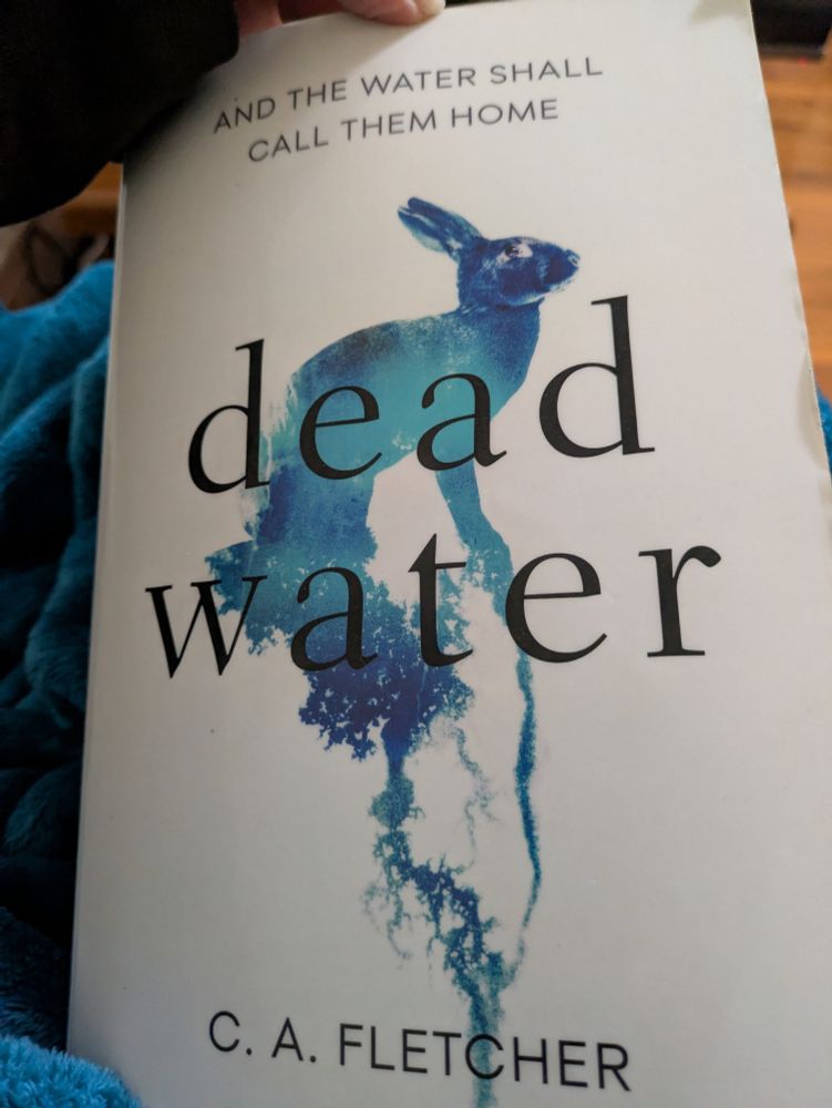 Book cover, blue watercolour rabbit on white background. Dead Water by C A Fletcher
